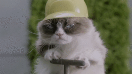 5b96f5d01ac454a668e2a26.gif