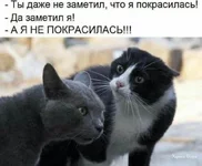 24b5cba39dd16efc2.jpg