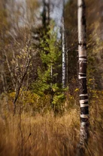 re-1607.webp