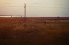 P7133658-111.webp
