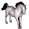 0_30291_a536e8be_L[1].gif