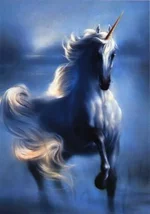 1227170720_x_29f3e1dc28.webp