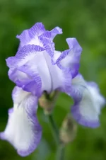 DSC00020-2-2.webp