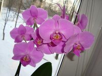 DSC02293.jpg