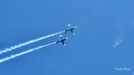 3022e2015a95a730c30dbbf.jpg
