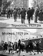 205e323f2597e3b1281e7.jpg