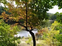 0429bf3403eb3438c03f.webp