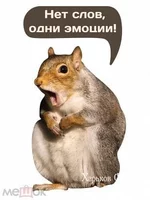 55630cf176ea3215bad3.jpg