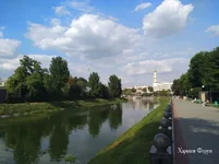 dcf838c9789996e65fb1fc33.webp