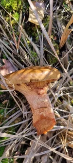 1a315e1c3937d55e368c871ff98ecb4e.jpg