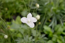 DSC00023-2-2.webp