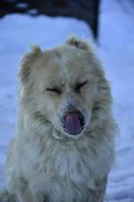 z_d840ffdf.webp