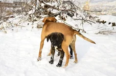 z_12712c96.webp