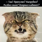 f178108b563468d19130.webp