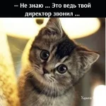 89afb08bbacfe2e8.jpg