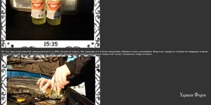 f64e58b99e7a341eb1.jpg