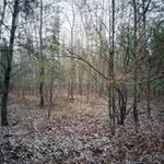 IMG-20211106-120421.webp