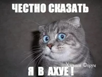 2b45f4efac2d1f72.jpg