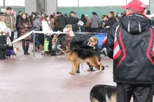 IMG_074000.jpg