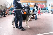 IMG_075233.webp