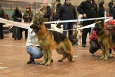 IMG_088533.jpg
