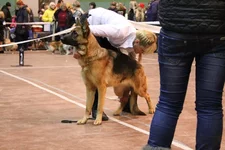 IMG_091333.webp