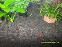 SAM_4784.webp