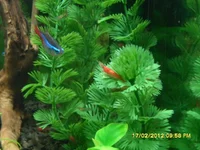 SAM_4786.webp