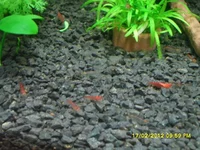 SAM_4787.webp