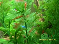 SAM_4793.webp