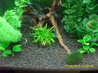SAM_4794.webp
