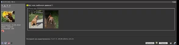  хф_3.webp