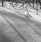 22.webp