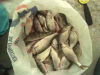 18022012436.jpg