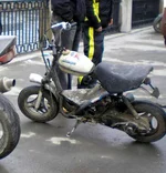 2012-02-19_144924.jpg
