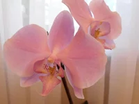 DSC05719.webp