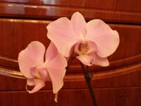 DSC05721.jpg