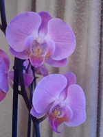 DSC05724.webp