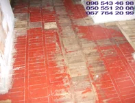 DSCF1204.webp