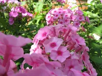 IMG_8351.webp