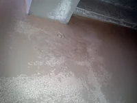 2012-02-20 12.35.05.webp