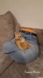 06c7e0462644e996eda47.webp