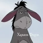 2568a56809b8f7afc166a65.jpg