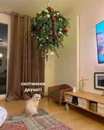 FGEz00_XwAM1jOV?format=jpg&name=900x900.webp