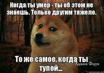 29c5db6de0caa6c9075234e.jpg