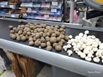 b2f3a9b831674e648bdb6.jpg