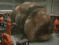 a38c52f3bd20e596e29c21a.gif