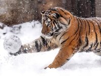 72f92879d31e2df5.jpg
