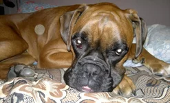 2012-02-20-014_cr.webp