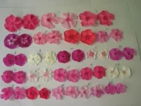 _с.webp